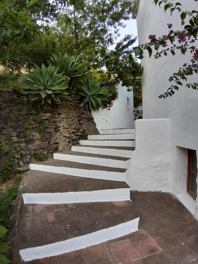 Finca Riolavar Jubrique Exterior photo